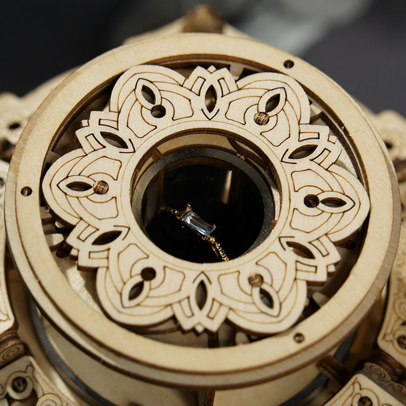 Secret Garden DIY Mechanical Music Box