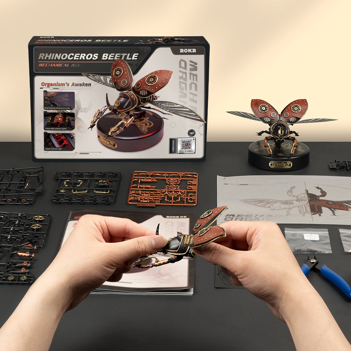 Rhinoceros Beetle Model DIY 3D Puzzle